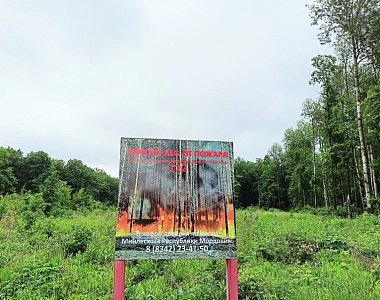 С 29 по 30 апреля 2024 года местами на территории Республики Мордовия ожидается высокая (4 класс) пожарная опасность лесов